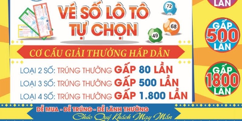 Hoạt động theo khu vực
